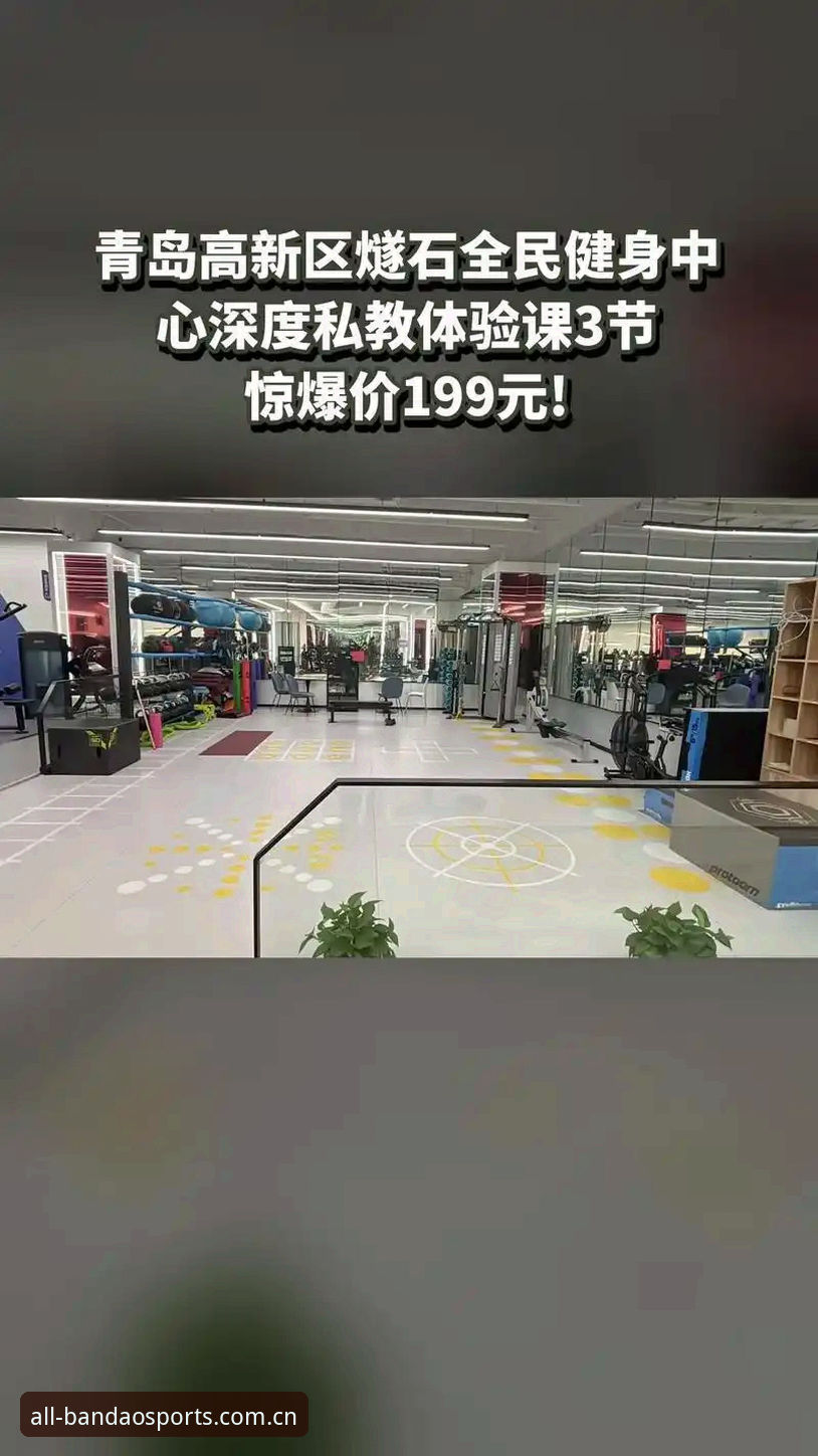 掌握半岛体育综合app的实用技巧：从安装到深度体验的全方位指南