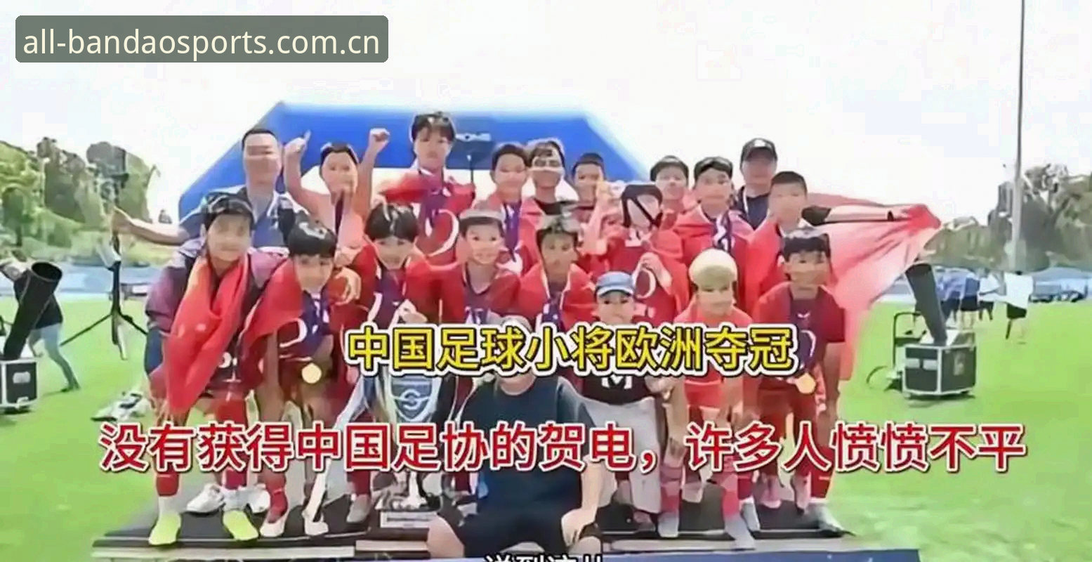 17人终身禁足、48人禁赛，半岛体育综合如何帮球迷读懂足协第三批罚单？