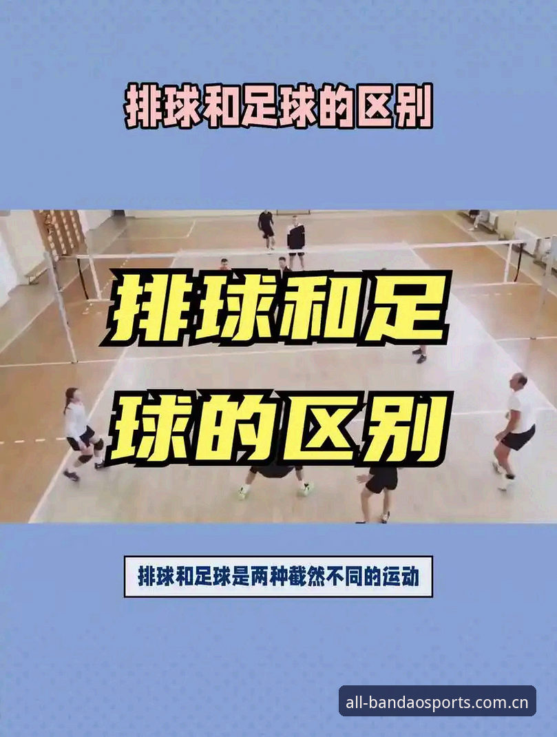 传统球场vs现场模块：半岛体育综合SPORT赛事安全性与便利性全面对比